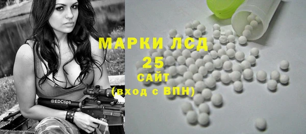 винт Алзамай