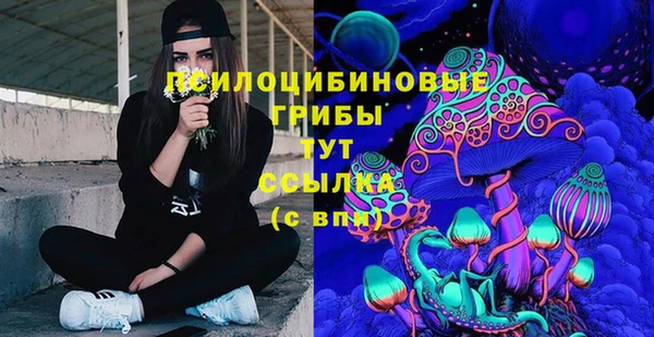 mdma Заводоуковск