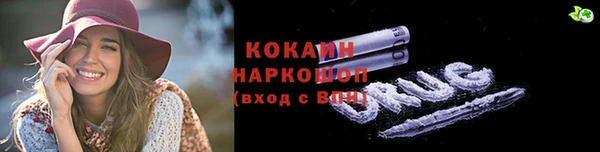 бошки Алексин
