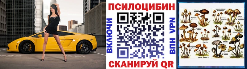 гидра ТОР  Новоалтайск  Галлюциногенные грибы Cubensis 