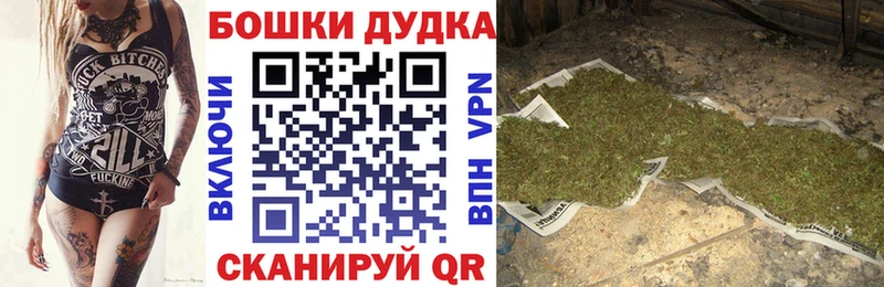 Канабис сатива  где можно купить   Новоалтайск 
